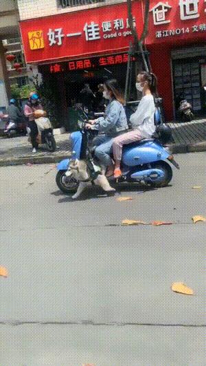 当初不顾家人反对段子,和老婆相亲的幽默段子搞笑