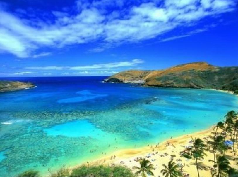 国外的旅游电子商务发展,国外旅游电子商务本土化的探讨