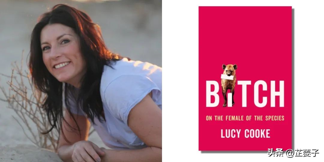 四大名著的热门书单,六本书必读书单