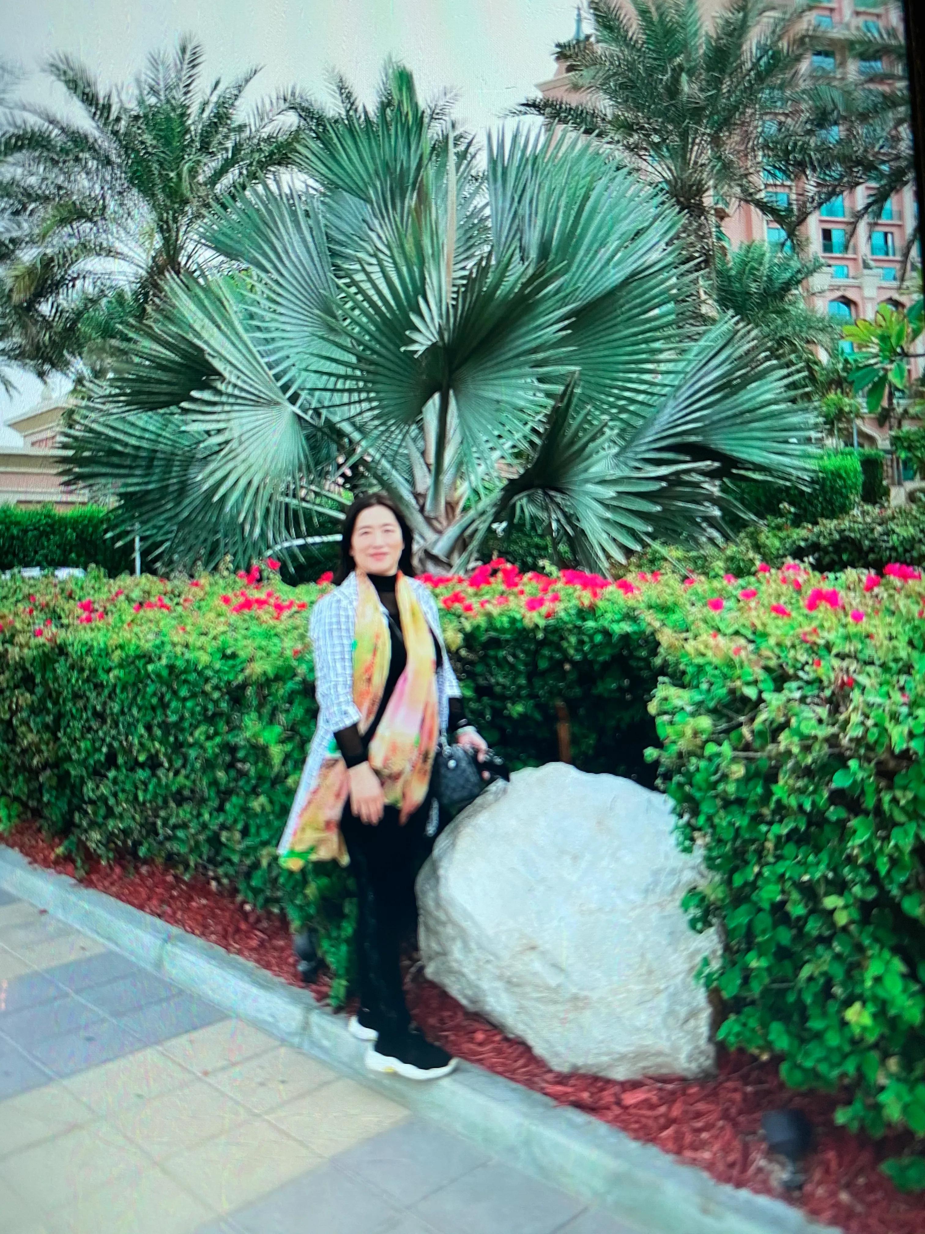 沙漠中的绿洲迪拜介绍,迪拜沙漠绿洲地址