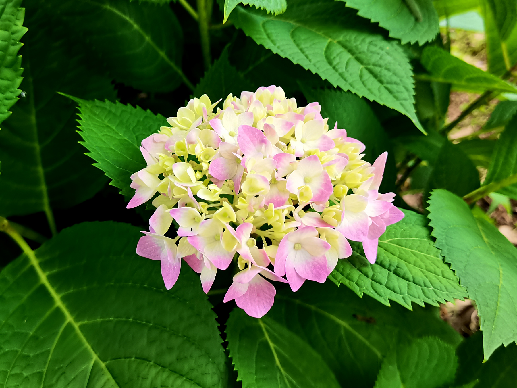 是仪：心中有民（八）