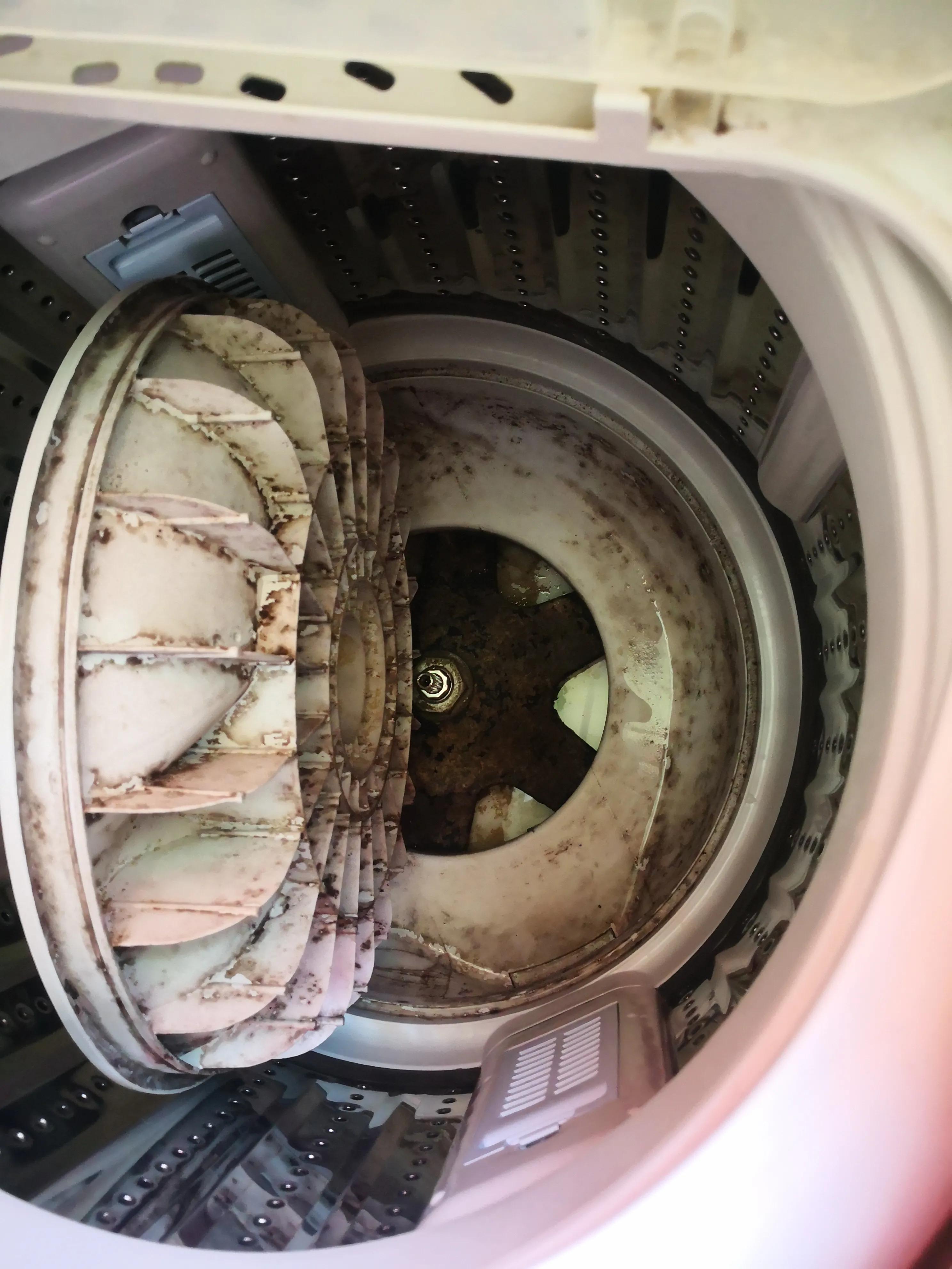 如何挑选洗衣机才最好用,选哪款洗衣机耐用又洗得干净