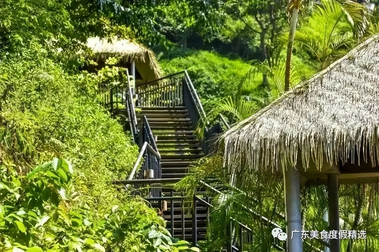 广州增城金叶子温泉推荐,增城金叶子半山温泉公寓