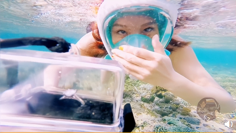 魏晨梗王稳定发挥,新晋梗王魏晨完整版