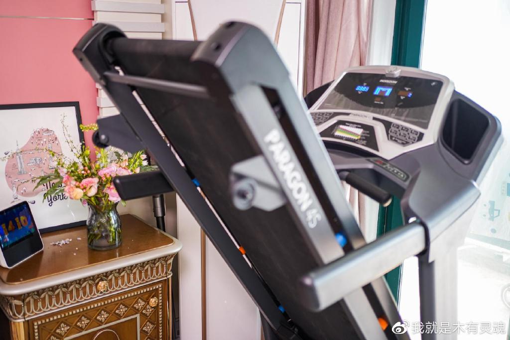 跑步机应该买哪一种,跑步机什么模式最好