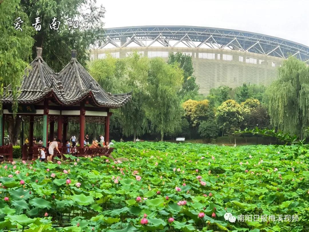 爱看南阳㉟你好2022，再见2021