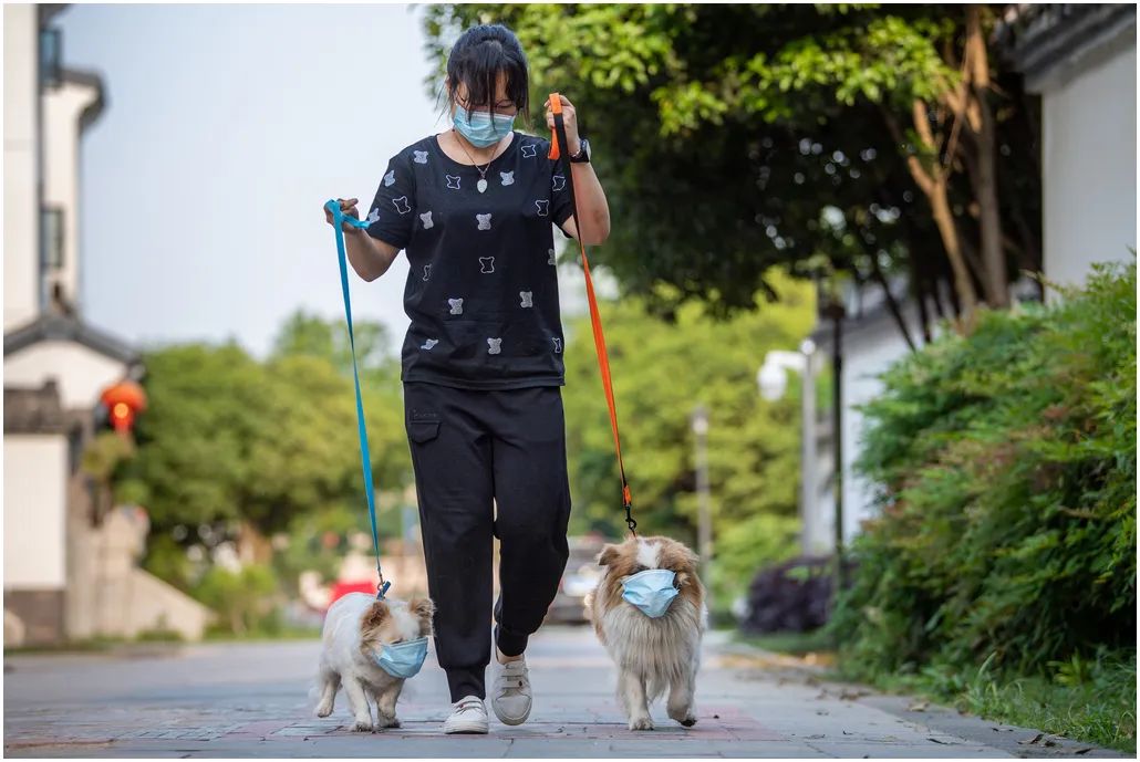 中国摄影艺术展获奖作品,北京国际摄影节获奖作品