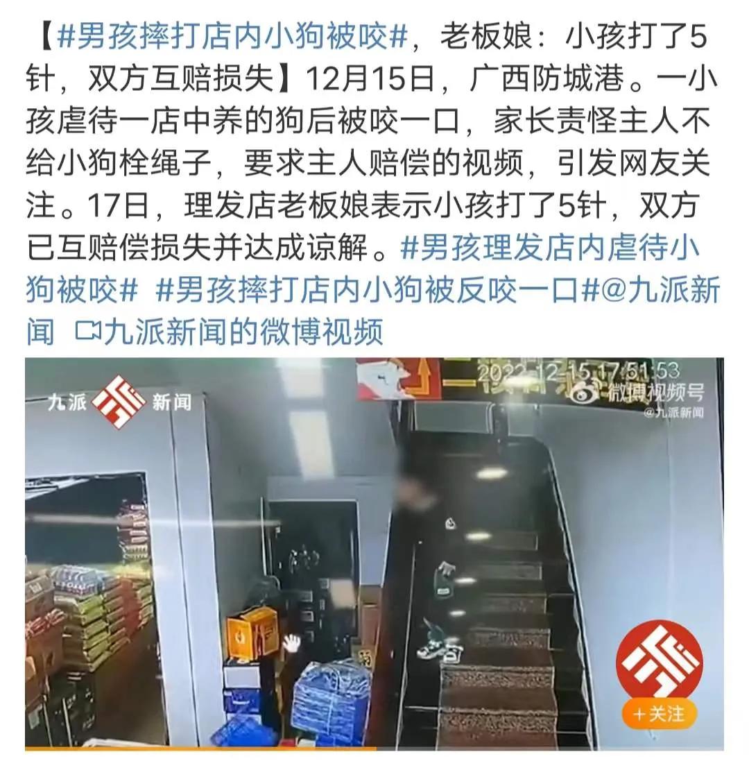 男孩理发店虐待小狗被咬,男孩理发店内虐待小狗被咬