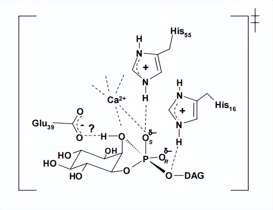 染色质组装和调控对酶活性的要求都有哪些