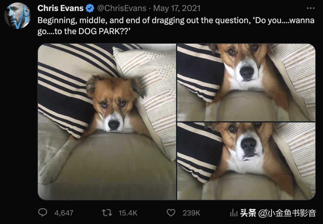 鐚庨拱涓庡啲鍏垫辰鑾敺鐖祐s姝讳緧,缇庨槦鍐叺鐚庨拱姝讳緧