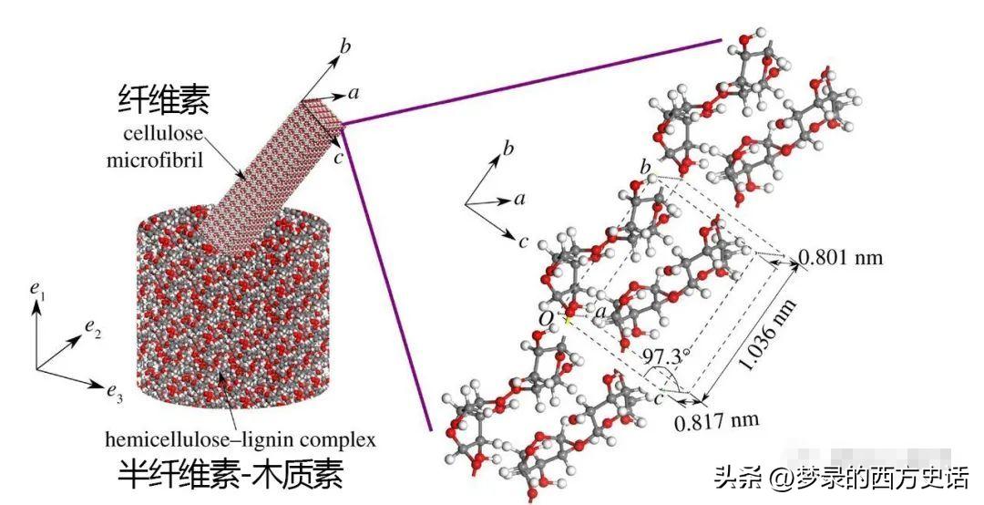 纤维素纳米晶体长宽比对所有CNC薄膜性能的影响被膜和木材CNC