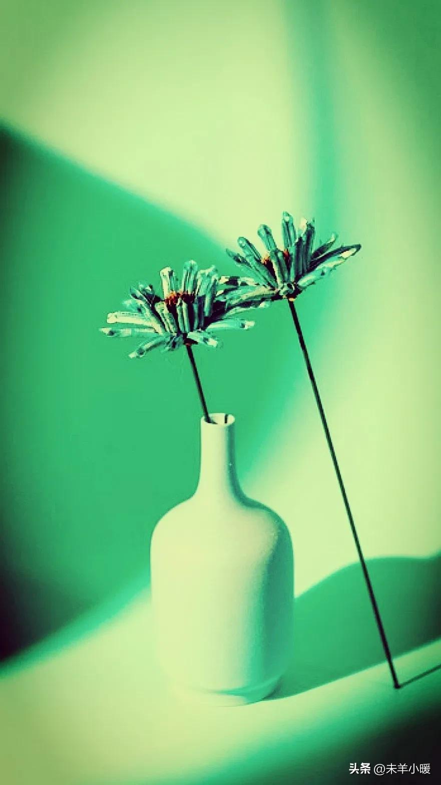 最美的手机壁纸大全,养眼养心的壁纸