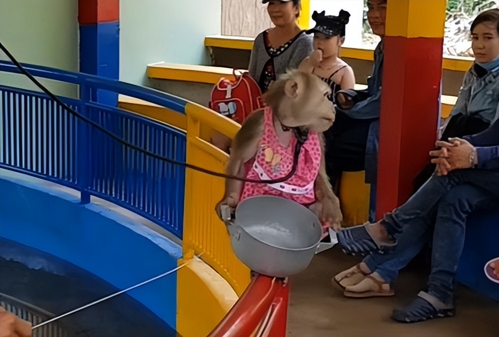 湖南女子怀孕6月没动静，坚持生下发现是猴娃，1岁块头比西瓜小