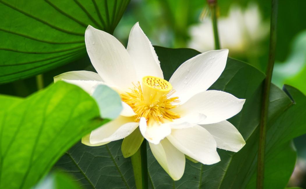 人只有躺在病床上才知道爱情最美,老了才知道这辈子最亲的人是谁