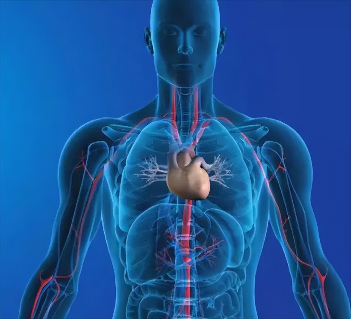 中医治疗早搏常用药方,中医对心脏早搏的认识