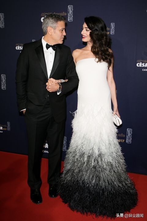 乔治克鲁尼与妻子阿迈勒,好莱坞巨星乔治克鲁尼老婆