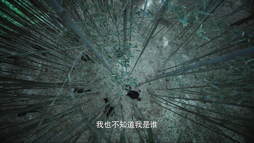 王志文和靳东最新的谍战片,王志文靳东最新电视剧北京电视台