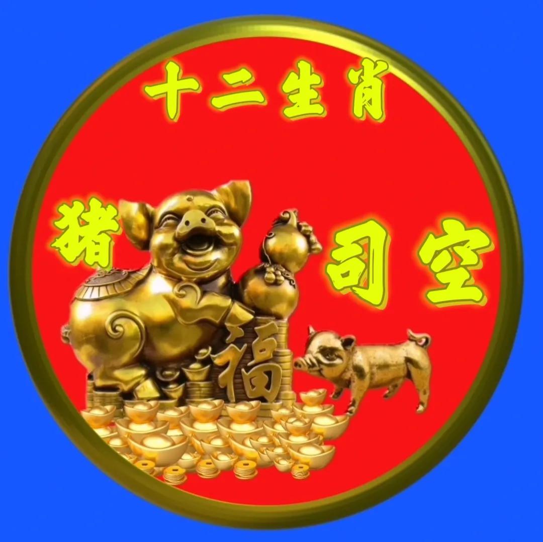 12生肖猪的姓氏头像,十二生肖猪姓氏头像壁纸