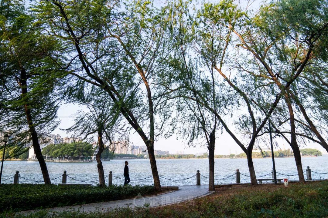 辣到落泪也舍不得停嘴的宝藏城市，不是长沙成都重庆