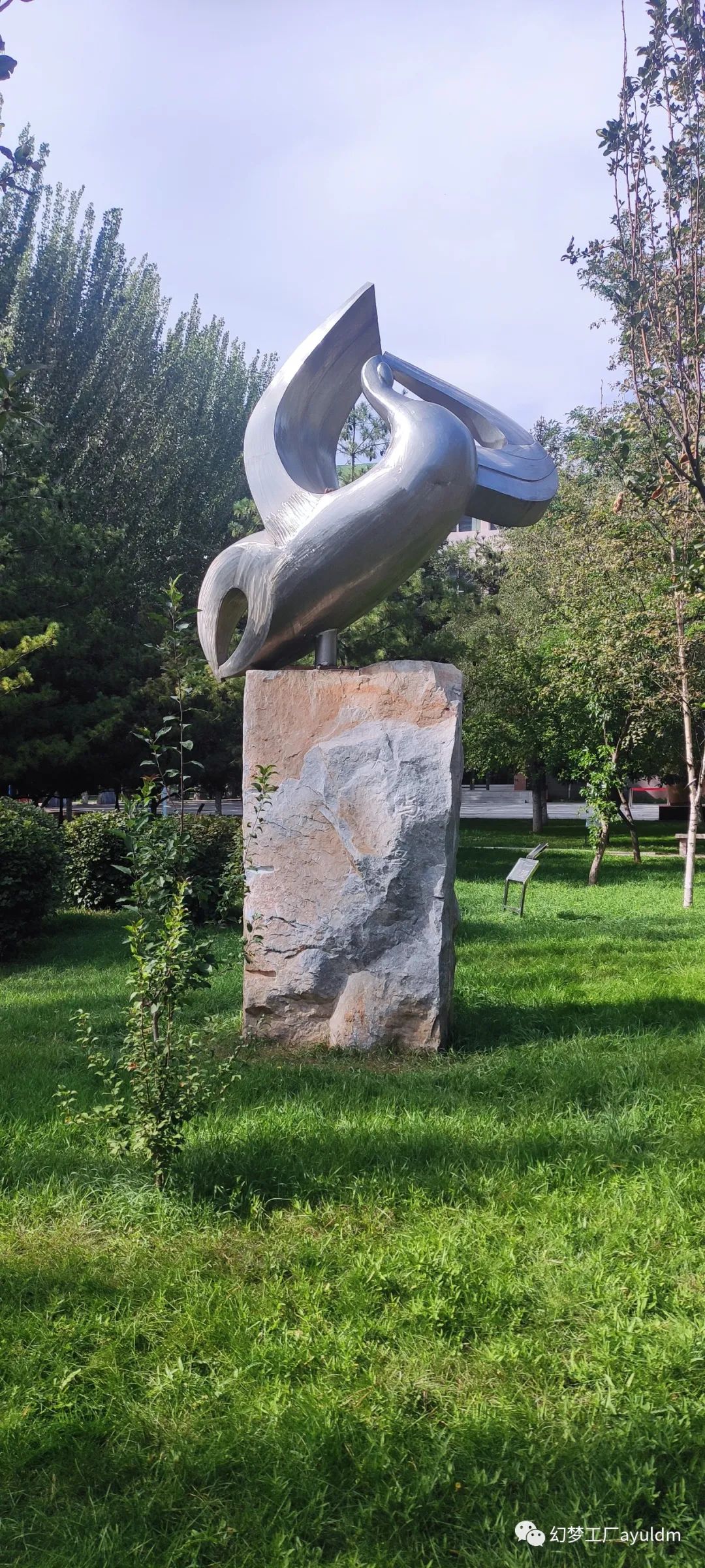 你好母校作文800字,你好母校作文