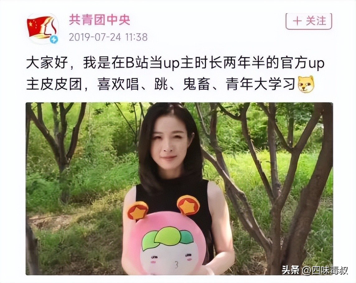 马保国后面有团队吗,马保国b站窝里斗