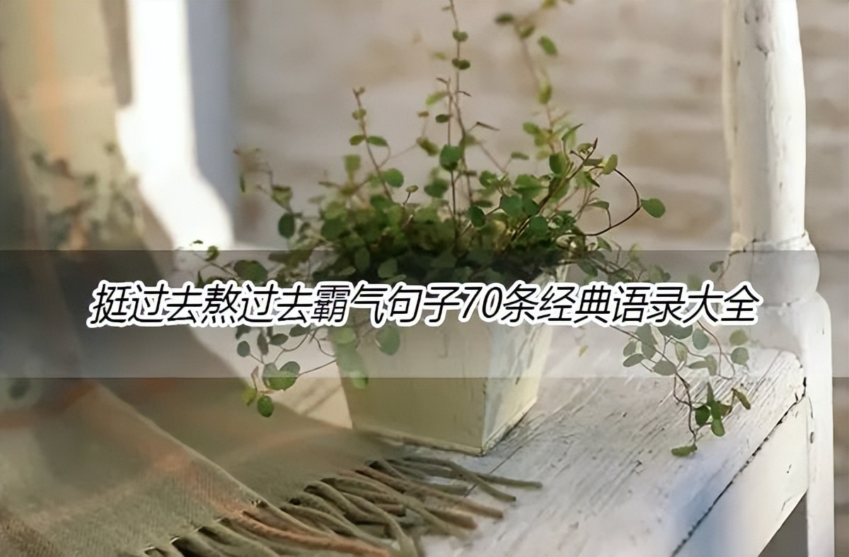 最霸气的句子语录,挺过去熬过去霸气句子图片