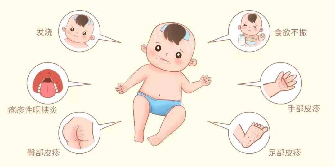 交通免费最新通知,最新通知收费标准公布