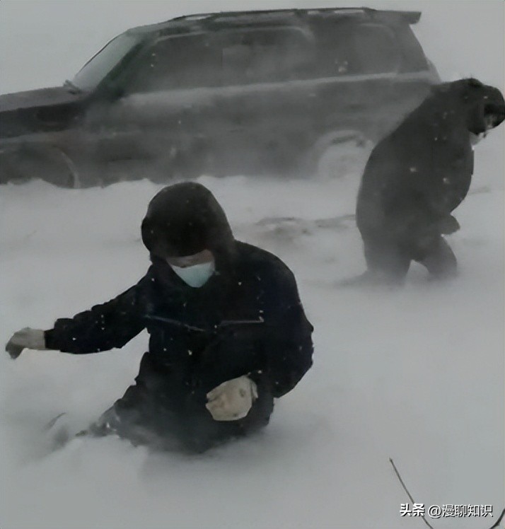 暴雪天气会有哪些危险,暴雪中出现的灾害