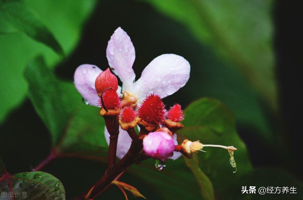 额头皱纹产生的原理是什么？