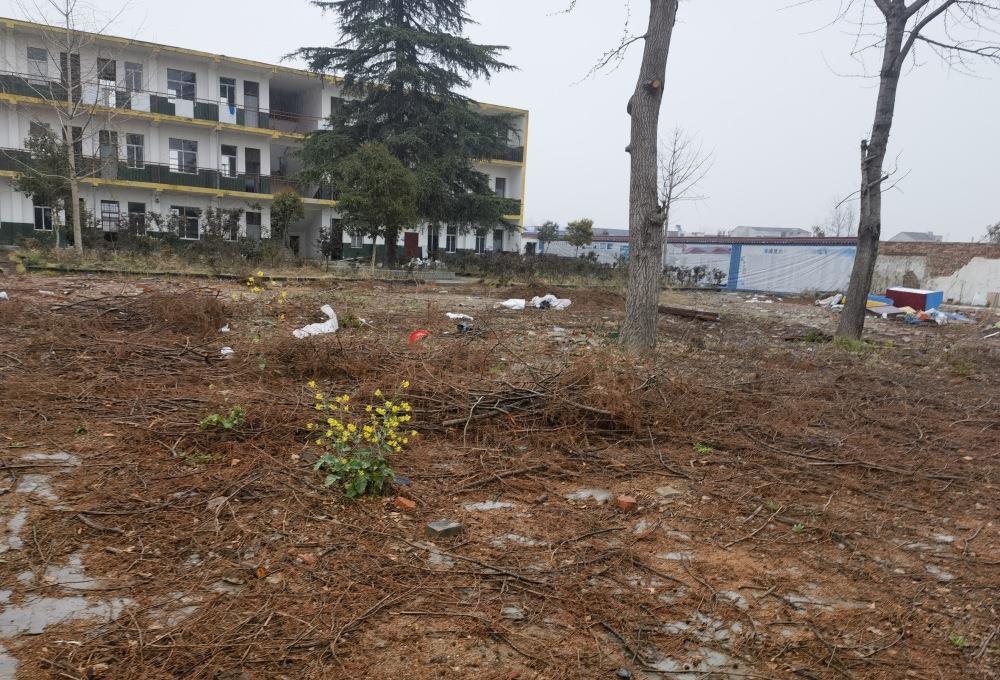 校长猥亵残障学生获刑家属回应,校长猥亵残障学生获刑家属发声