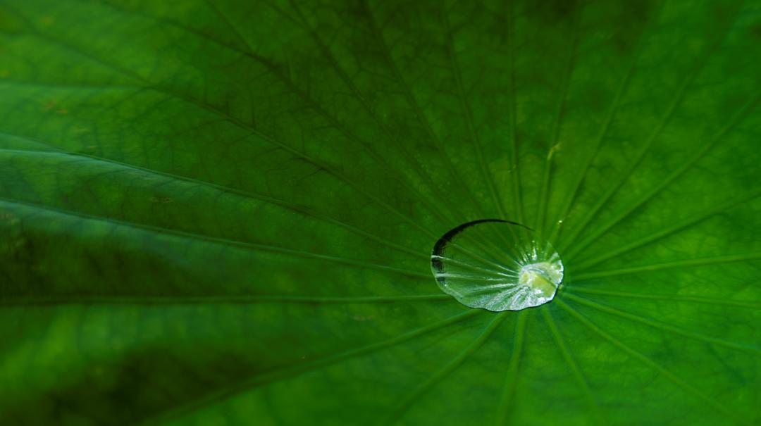 宝妈产后最忧虑什么,宝妈产后多久来月经正常