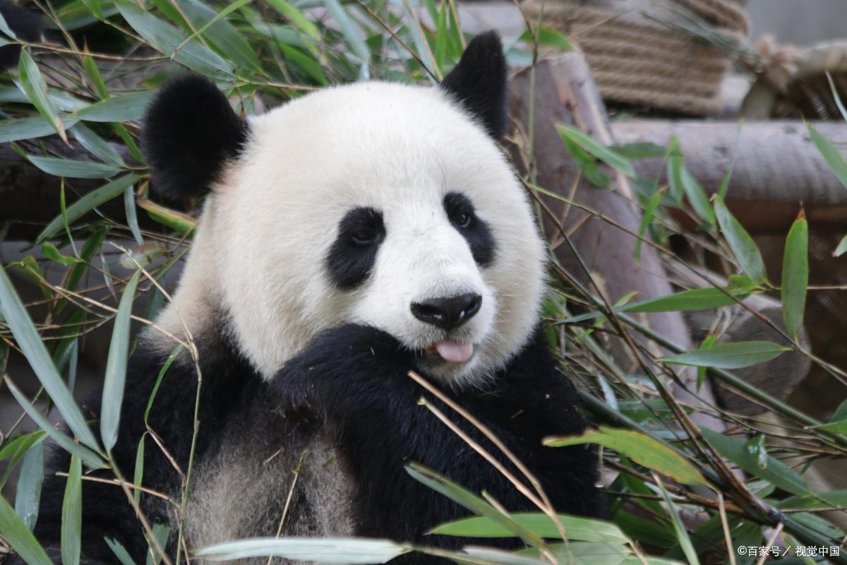 中国十大自驾胜地,中国十大露营旅游地点推荐