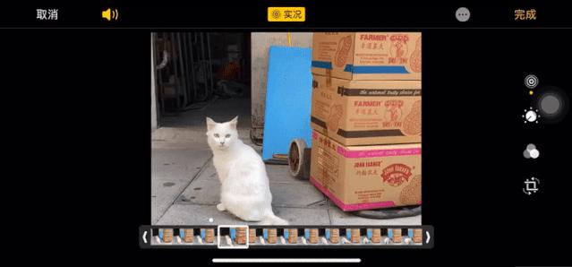 十年老安卓转苹果,十年安卓换苹果小白测评