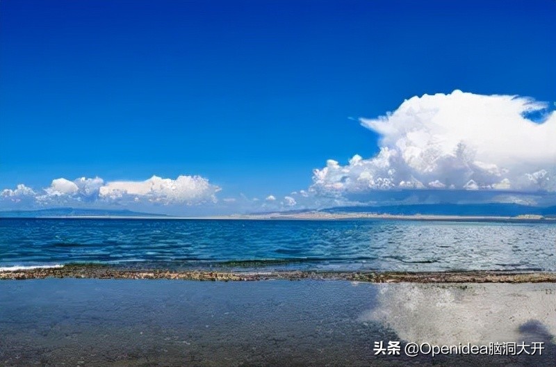 青海湖湟鱼濒临灭绝的原因,为什么青海湖的湟鱼需要拯救