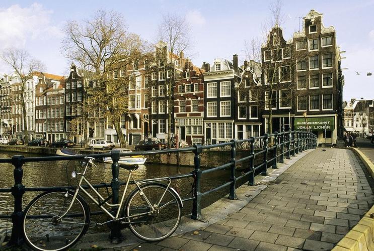 荷兰合法化的新政策,荷兰宣布性合法后遗症