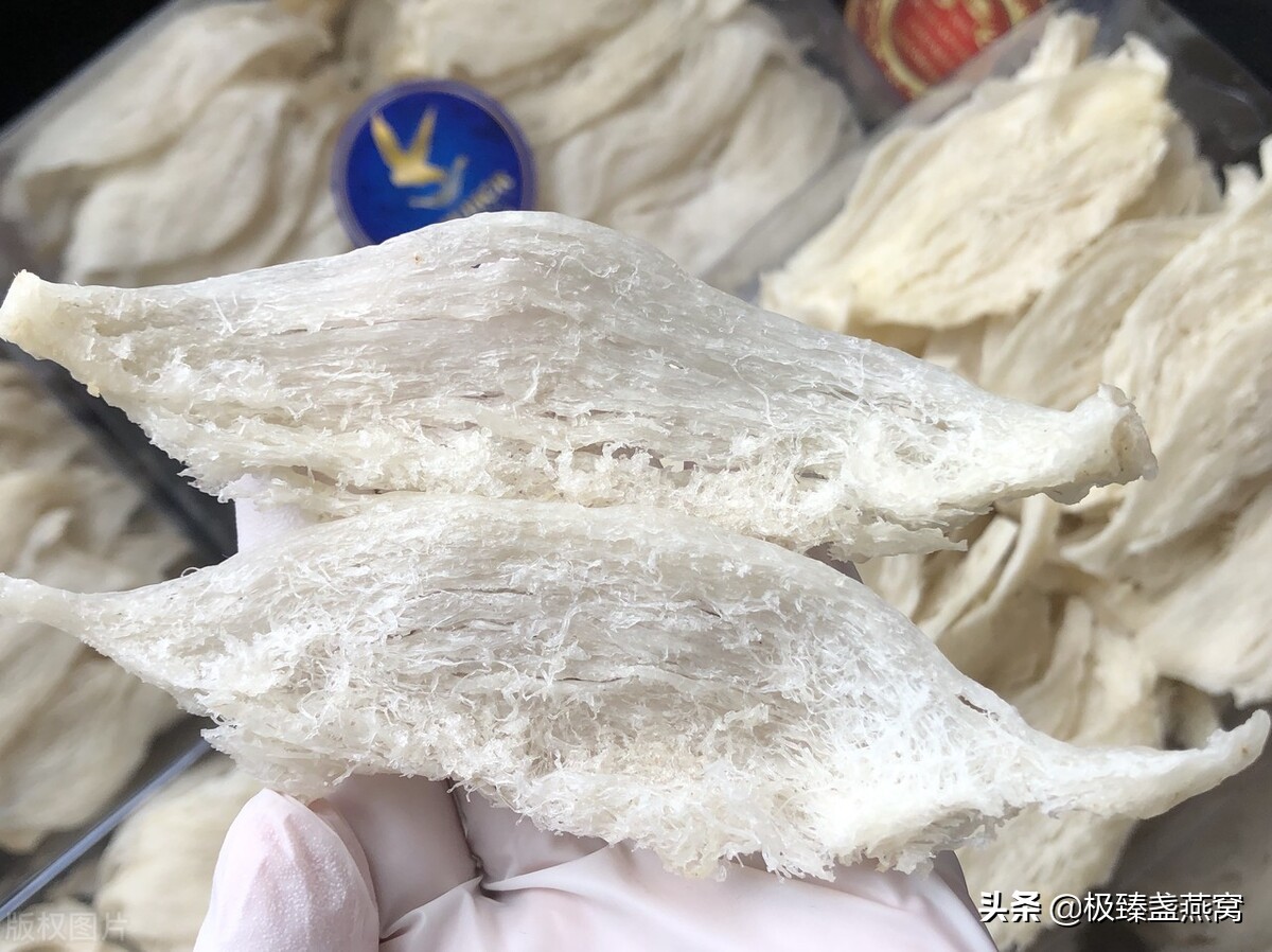 吃燕窝跟吃燕碎有区别吗,吃燕窝的禁忌六种人不宜吃燕窝
