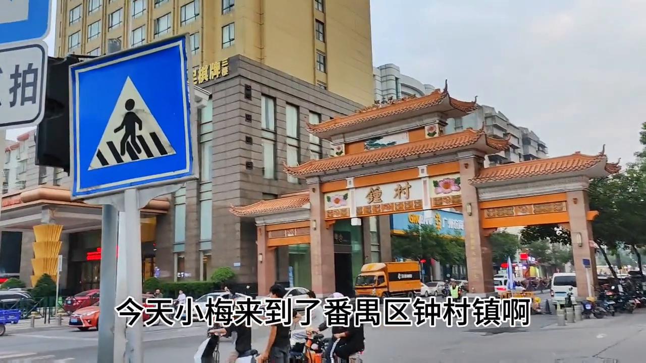 有没有人去过钟村龙岛汇,钟村是广州郊区吗