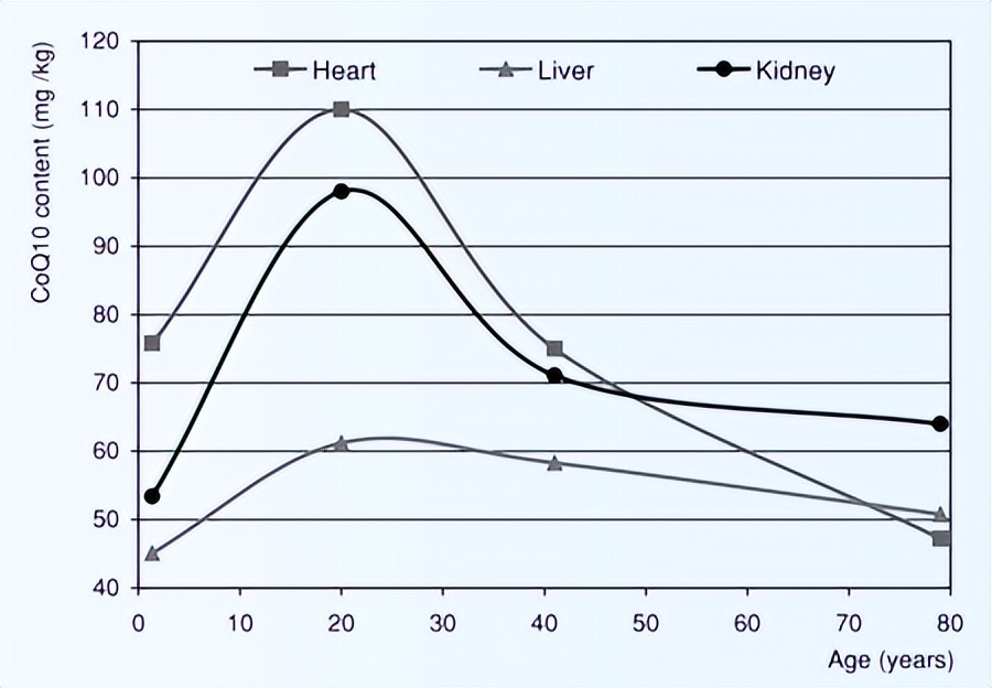 你所不知道的辅酶q10,最新一代辅酶q10是什么