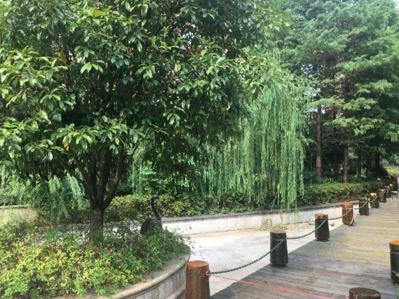 长沙上海城二手房,长沙上海城三期二手房值得入手吗