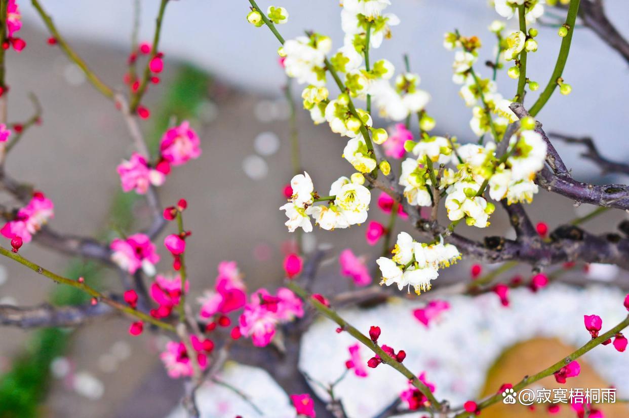 鏈夊瘬鎰忕殑绗斿悕鍒悕,鎬庝箞璧峰ソ鍚殑鍒悕瀛楀彿绗斿悕