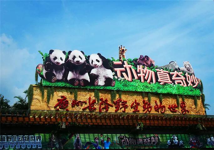广州长隆野生动物世界景点图片,游广州长隆野生动物世界游记