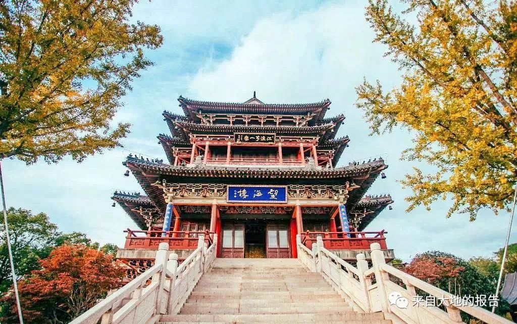 银杏之乡风景图片大全,银杏之乡坪田