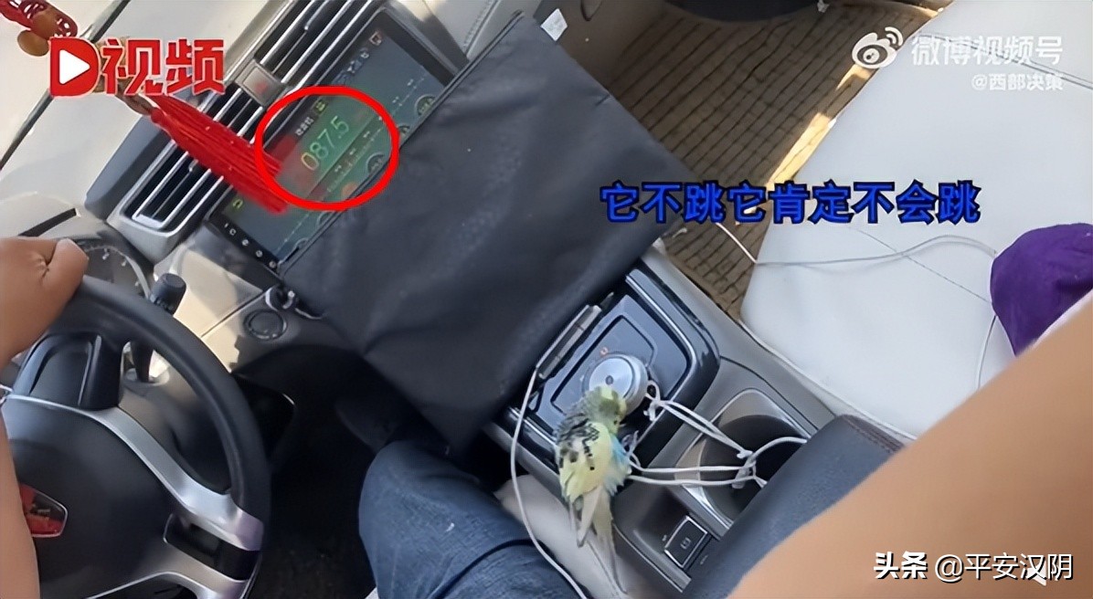 西安市内公交出行最新通知,今日西安出行最新通知