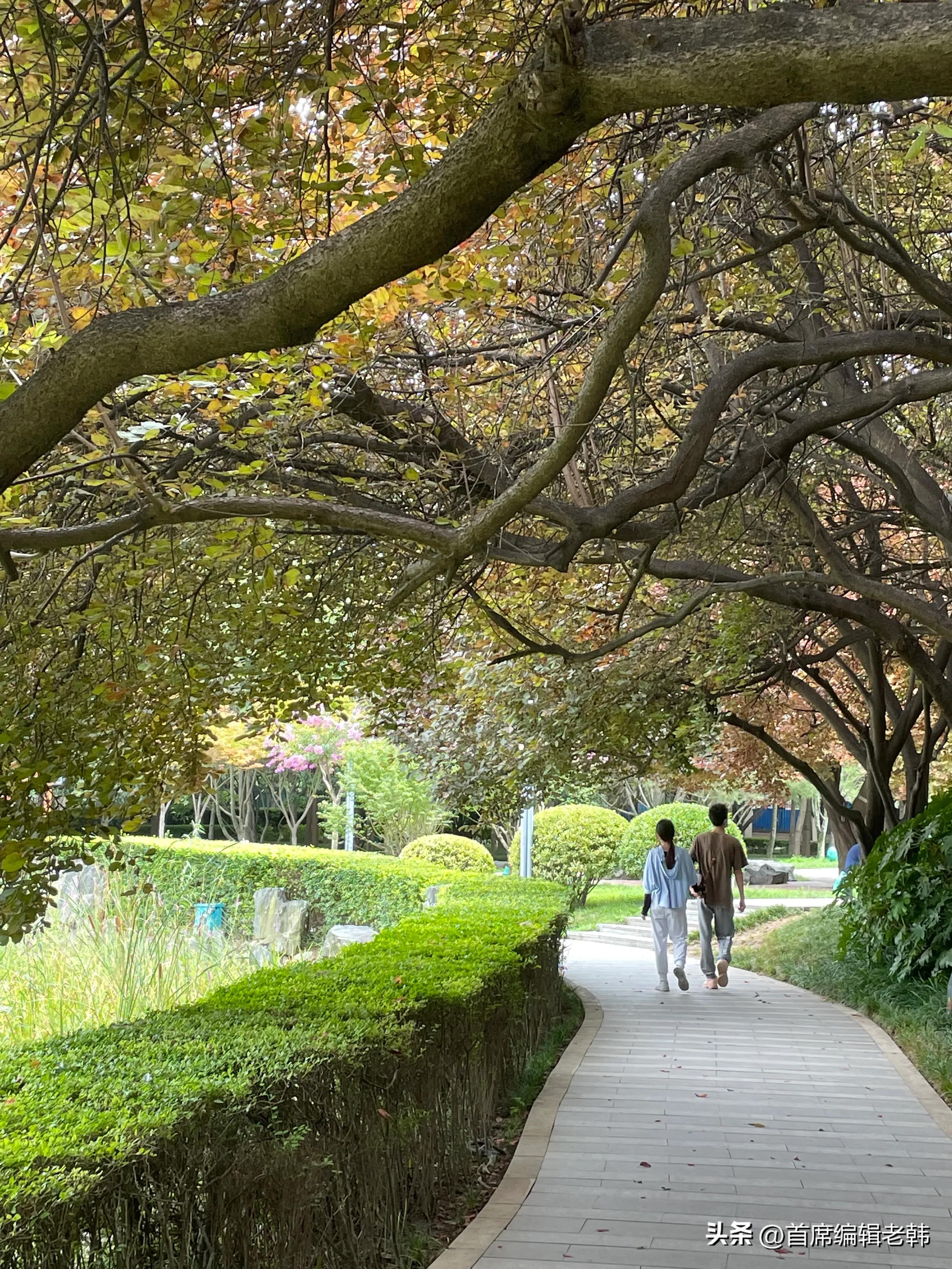 一天一万字2：我的带路大哥是冒牌主编，他教会我人情世故
