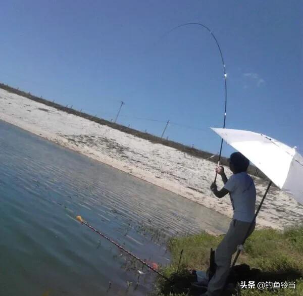 不懂鱼竿如何给鱼竿定价,新手如何选择鱼竿的调性