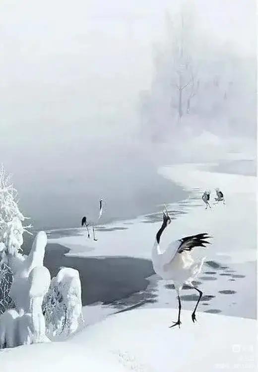 画意风光,画意风光摄影