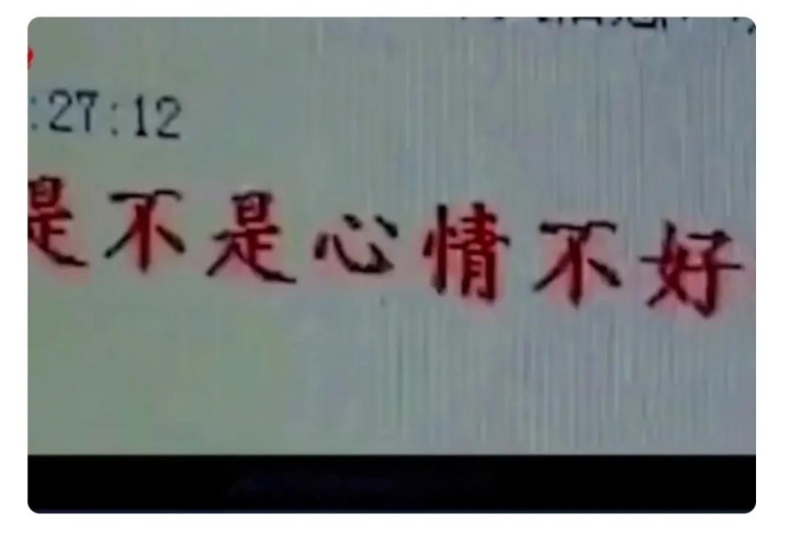 秒男深谙心理学，3小时搞定陌生女性并开房，诈骗数千万