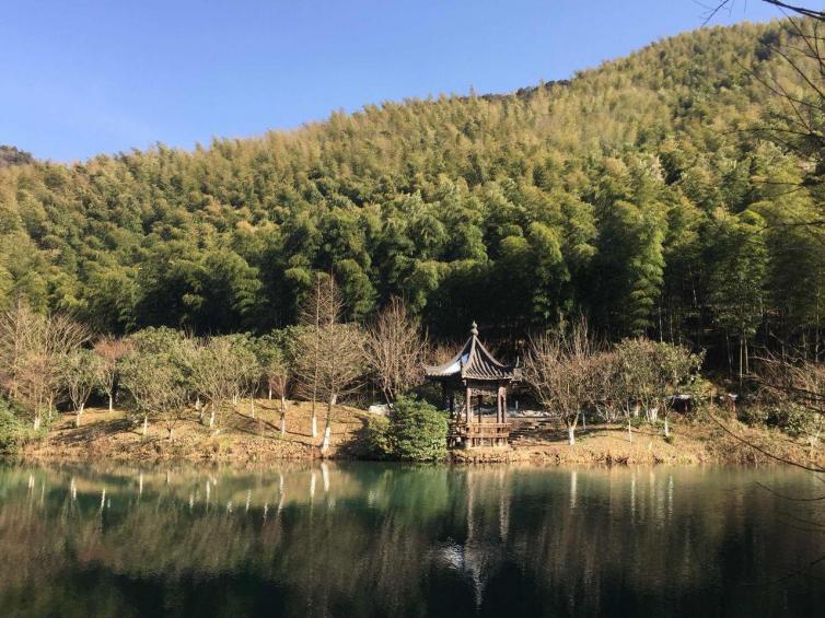 上海附近去哪里泡温泉,上海附近泡温泉一日游攻略