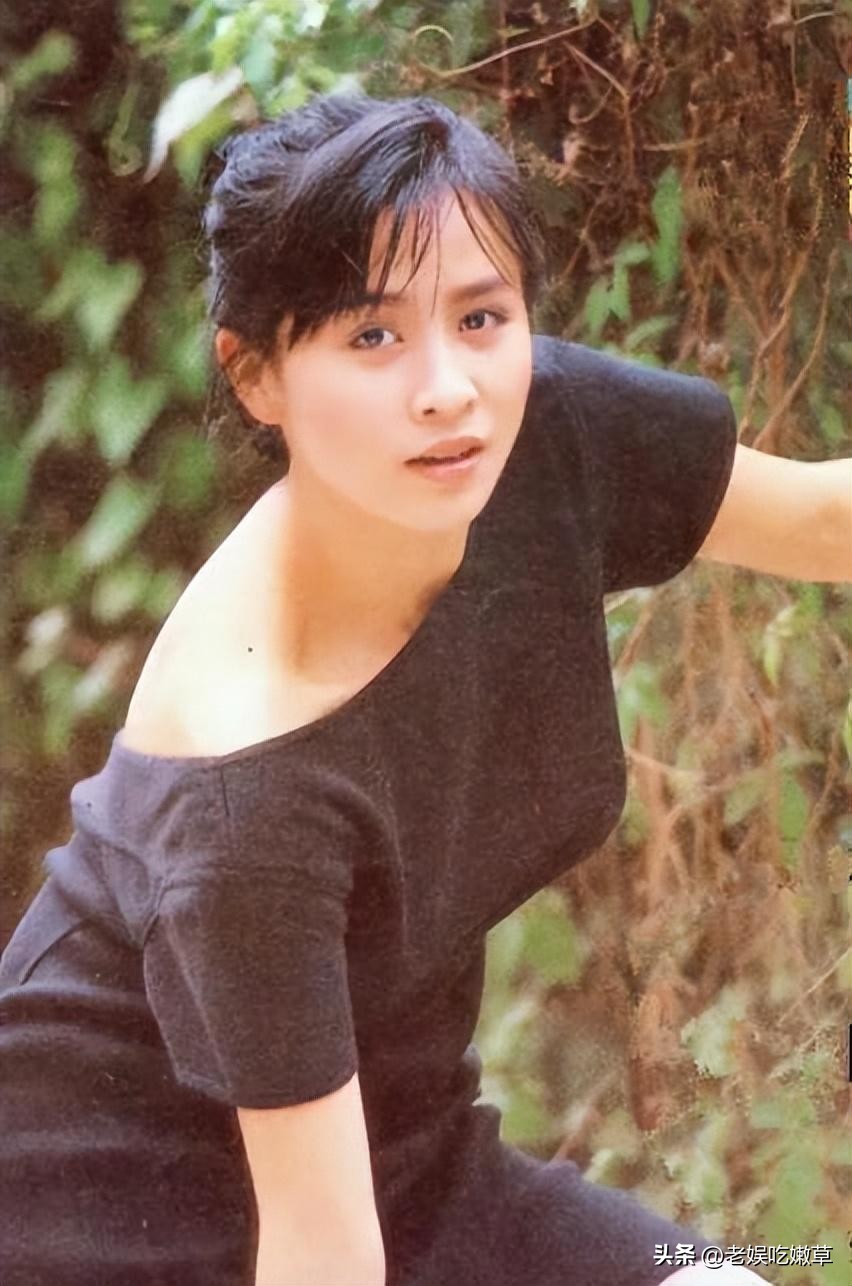 刘嘉玲被绑架案背后的故事,刘嘉玲被绑架的案件始末