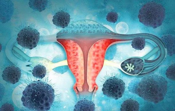 感染了HPV病毒还可以怀孕吗,感染hpv病毒还可以怀孕吗